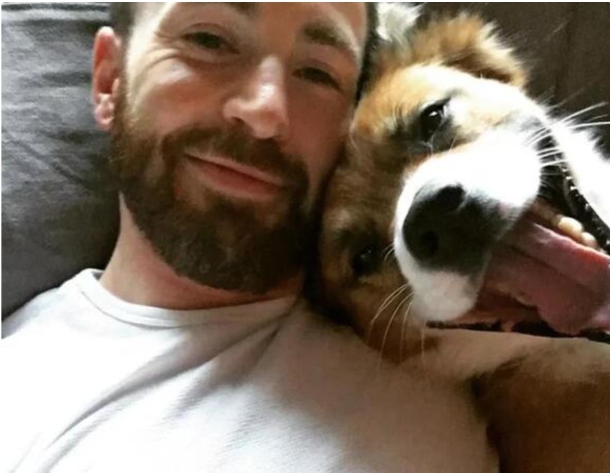 The Movie Star, The Shelter Pup, and One Unforgettable Bond