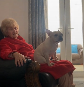 How a Grieving Grandma Found Love Again—From a Dog with Trust Issues