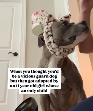 This Rescue Dog Had a Spa Day… and Honestly, Same.