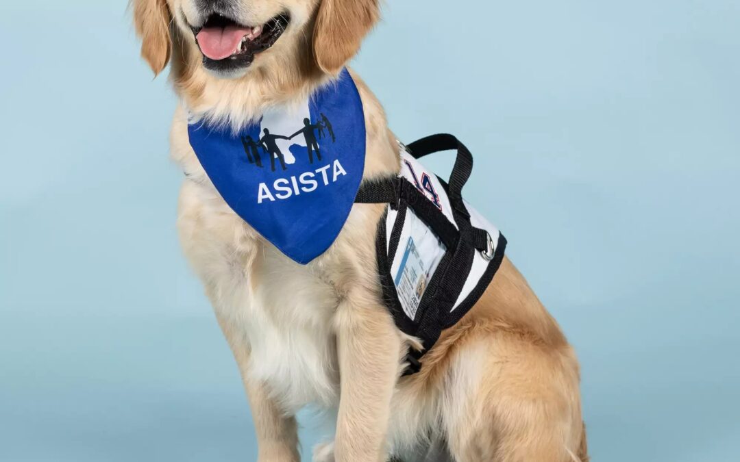 They Gave Her Up—Now She’s a Hero With a Leash and a Mission