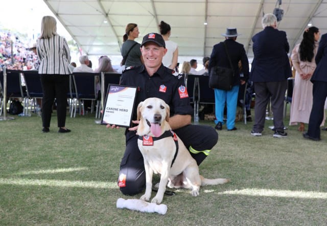 Meet Gandalf: The Four-Legged Firefighter Who’s Saving Lives and Sniffing Out Arson