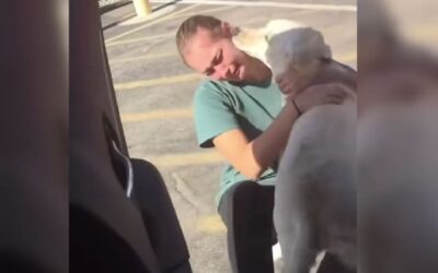 The Tear-Jerking Reunion That Proves Love Never Forgets
