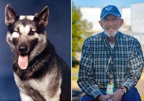 Man’s Best Defender: The Untold Heroism of MWD Nemo and His Handler