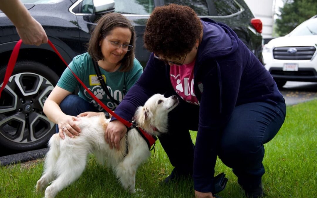 No Dog Left Behind: A Sky-High Rescue Mission