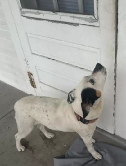 She Waited at the Door That Wouldn’t Open—Then a Stranger Changed Everything