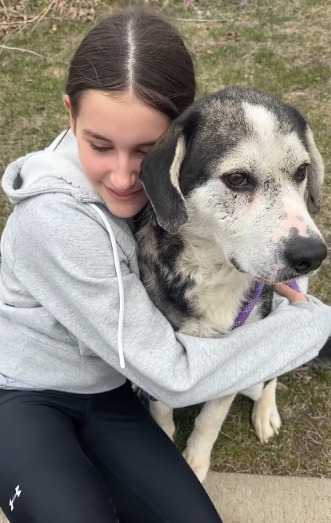Old Dog, New Beginning: How One Senior Pup Found Her Forever Home