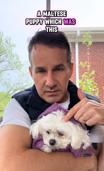 They Brought in a Sick Puppy to Be Put Down—This Vet Had Other Plans