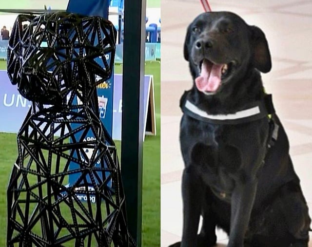 Paul the K9: Dubai’s Four-Legged Hero Steals the Show