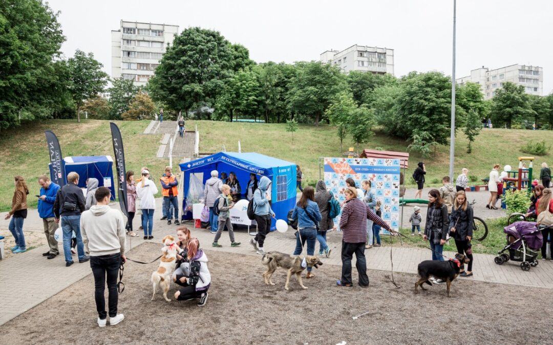 How to Actually Enjoy Dog-Friendly Events (Without Losing Your Mind)