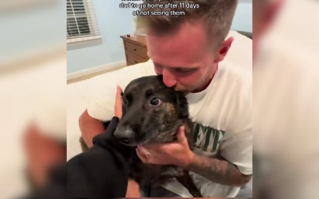 How a Midnight Wake-Up Turned Into the Sweetest Reunion Ever