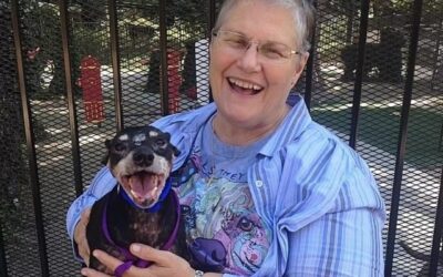 No One Wanted Him—Until a 72-Year-Old Widow Walked In and Said 7 Words