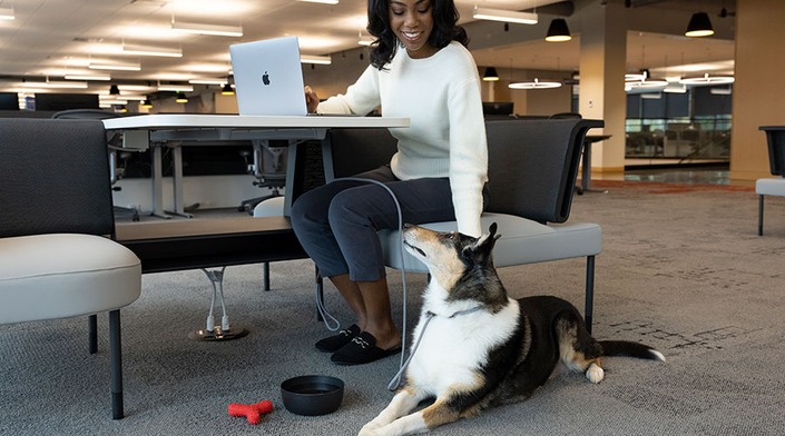Your Dog’s First Day at the Office: A Tail-Wagging Success Guide