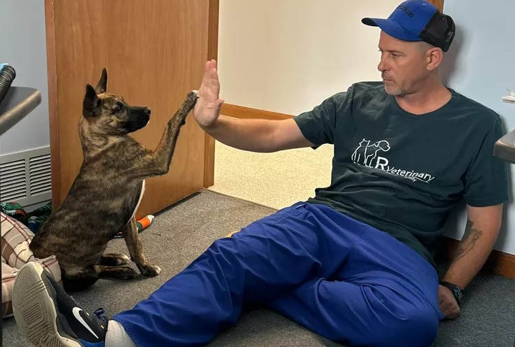 Prisoner to Pet Hero: The Unexpected Journey of a Man Who Trained Dogs—and Transformed His Life
