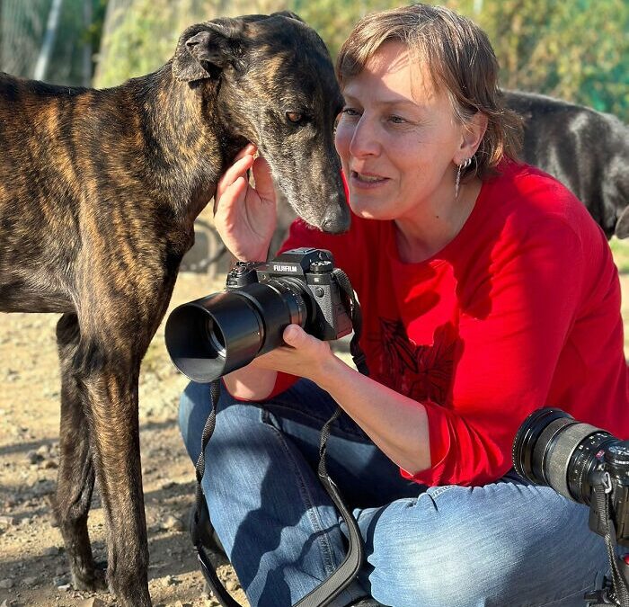 How Three Rescue Dogs Turned a Photographer’s Life—and Lens—Into a Masterpiece