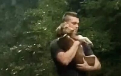 Stray in the Rain Runs Into a Stranger’s Arms—and Finds Her Forever Home