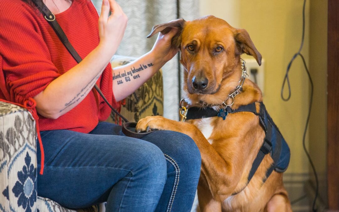 A New Leash on Life: How Rescue Dogs Are Saving Veterans from the Brink