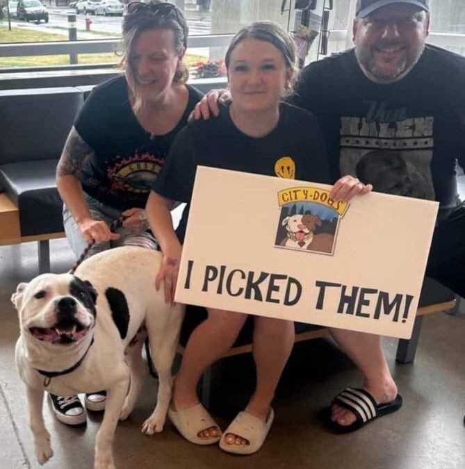 One Brave Pup, One Big Heart: The Dog Who Lived Like Every Day Was His Last
