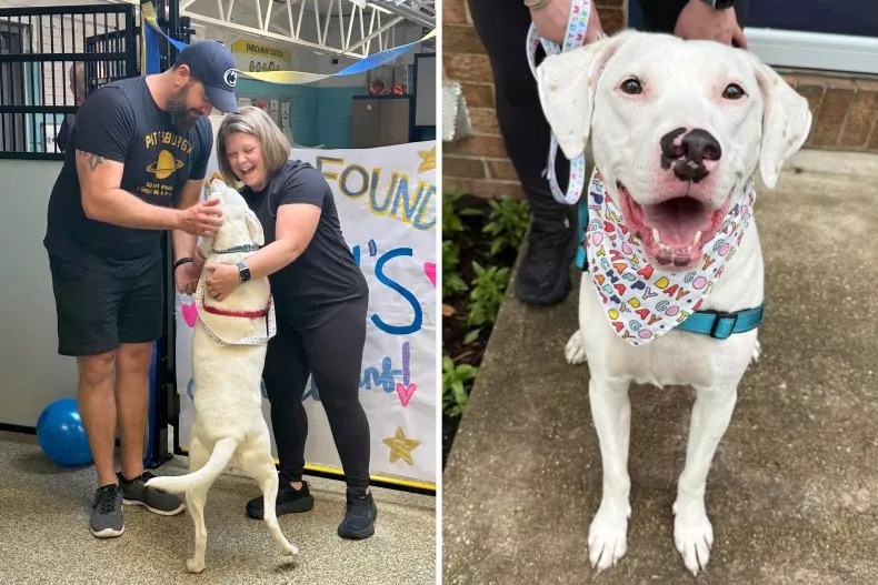 The Mama Dog Who Waited 227 Days for Her Turn at Love