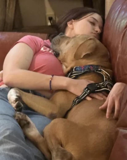 372 Days Of Heartbreak: The “Shut Down” Shelter Dog Who Never Thought He’d Be Saved!