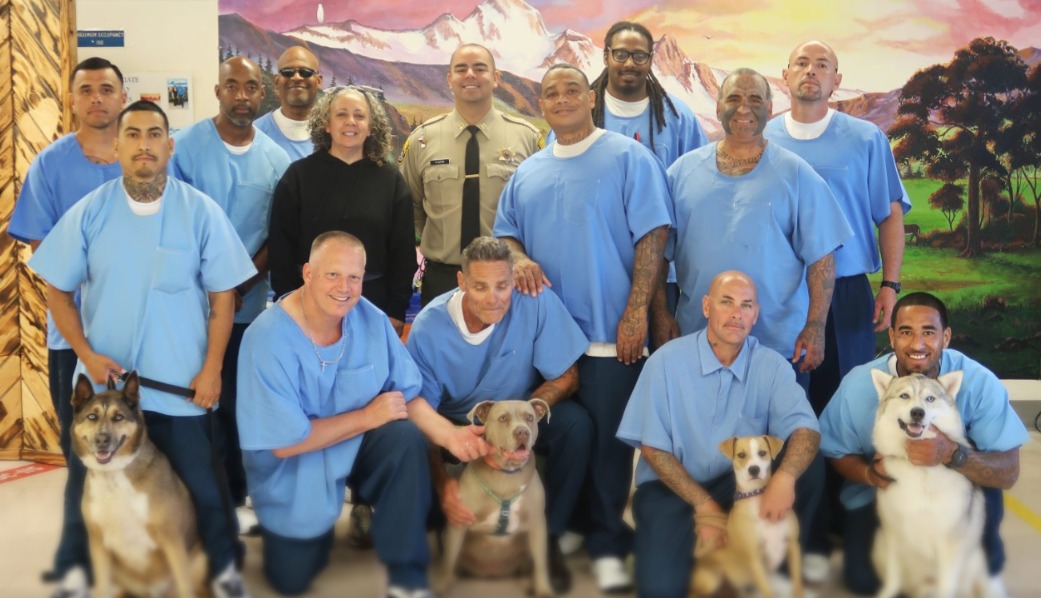 Chains To Leashes: How Inmates Are Turning Rescue Dogs Into Perfect Pets (And Finding Redemption!)
