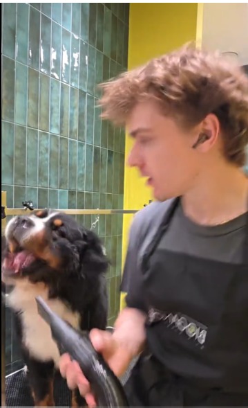 Move Over, Pop Stars! This Dog’s Karaoke Duet Just BROKE The Internet!