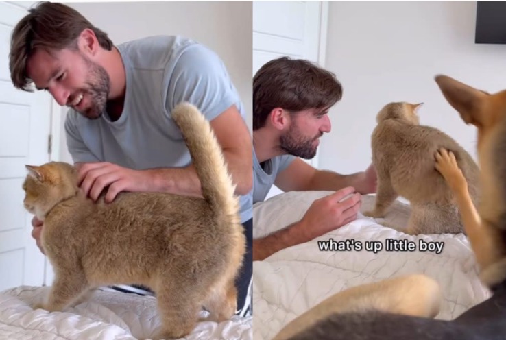 Loyalty Tested: Watch The Hilarious Moment This Dog Says “NO” To Sharing The Spotlight!