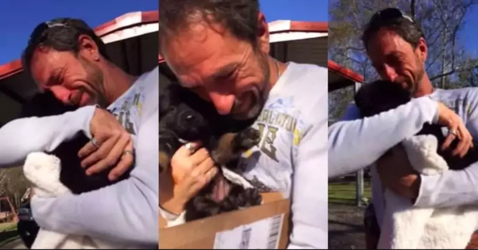 Tears of Joy: How One German Shepherd Puppy Mended a Family’s Heart