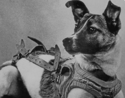 A Bark Into The Void: The Tragic, Unsung Story of Space’s First Pioneer
