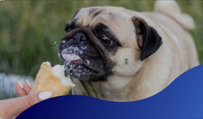 Chill Out, Pup! 4 Easy DIY Frozen Treats Your Dog Will Love