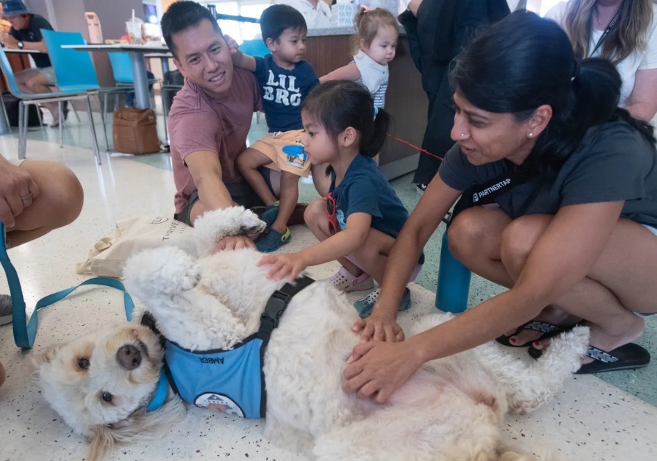 Forget Delays! This Florida Airport Has Unleashed the Cutest Therapy Squad Ever