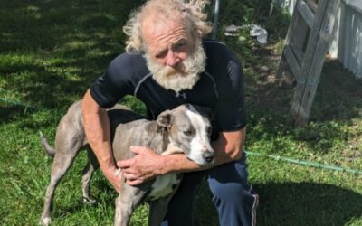Against All Odds: How a Dog’s Epic Run Through a Ravine Led to a Miraculous Rescue