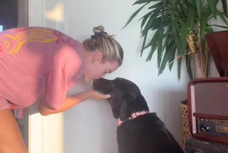Dinner Time Delight! This Chocolate Lab’s Pre-Meal Kiss Ritual Will Melt Your Heart!