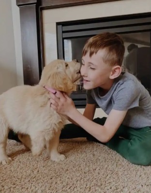 Heartwarming Bond: How a Golden Retriever Puppy is Helping a Boy Embrace His Differences