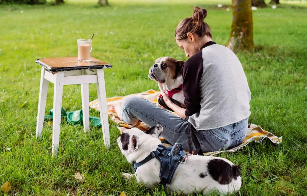Want A Peaceful Brunch With Your Dog? The 8 Unbreakable Laws That Guarantee a BARKING-FREE Morning