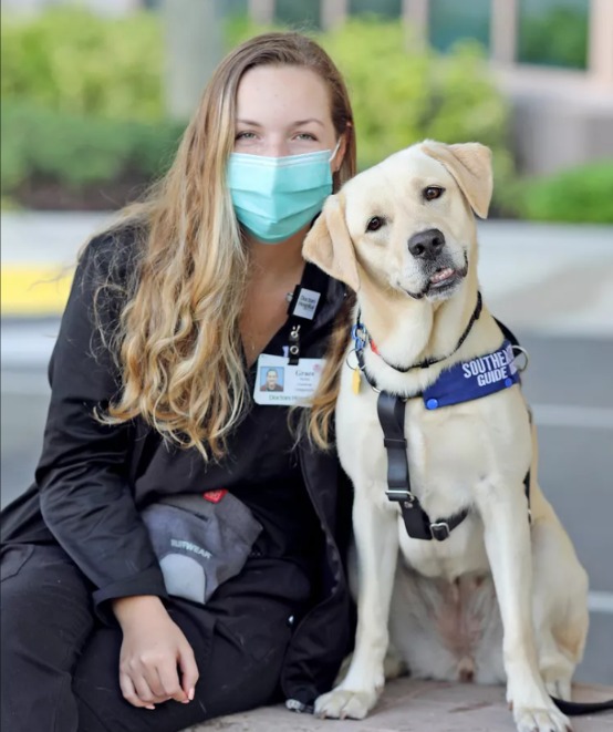 Hero on Four Legs: Buffy the COVID-Detection Dog is a Game-Changer in Sarasota