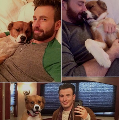 Captain America’s Best Friend: Chris Evans on Dodger, Mutts, and Giving Back!