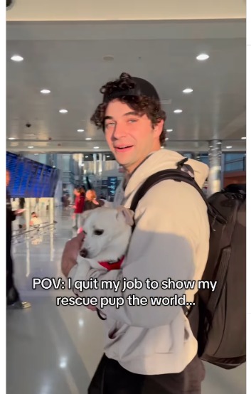 Meet Elko: The Globetrotting Rescue Dog Who Proves That a Second Chance Can Lead to the Adventure of a Lifetime.