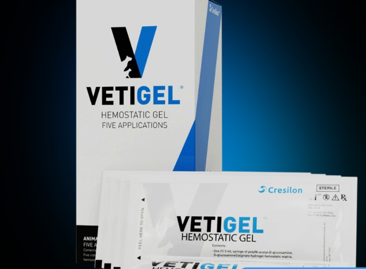 Miracle Gel Saves Stabbed Morkie: The Life-Saving Innovation Every Pet Owner Needs to Know