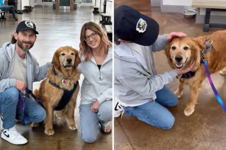 Too Old? Too Stinky? Not for This Couple Who Adopted the “Goodest” Dog!
