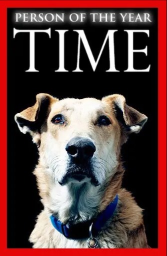 He Stood Against Authority: Discover The Legendary Tale Of The Dog Who Fought For Freedom!