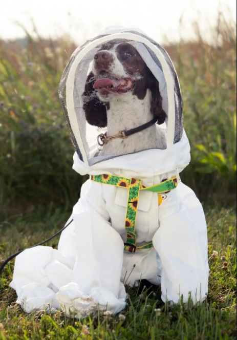 From K-9 Hero to Hive Helper: This Dog Wears a Custom Bee Suit to Protect Our Planet’s Pollinators!