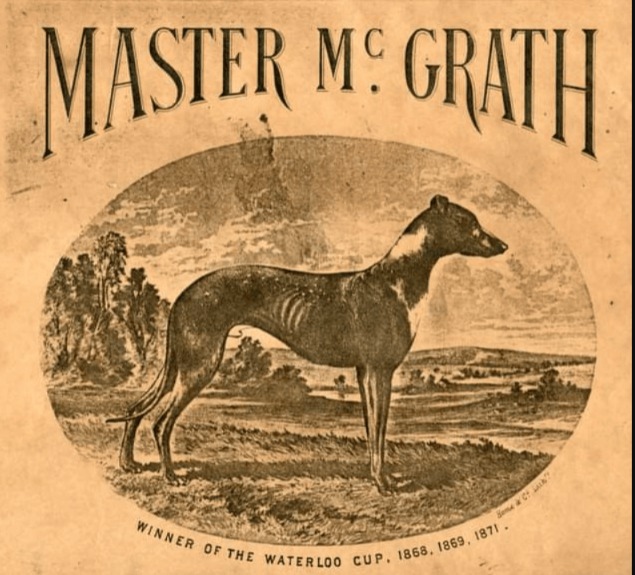 More Than A Champion: How An Unwanted Puppy Conquered The World (And Queen Victoria!)