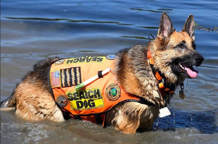 A Partnership for the Ages: The Final Chapter for a Search and Rescue Duo