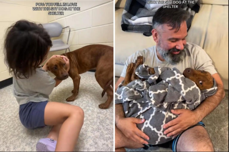The Moment Everything Changed: How a Shy Pup Stole a Family’s Heart
