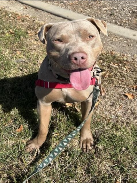Stella: The Sweetheart of the Week