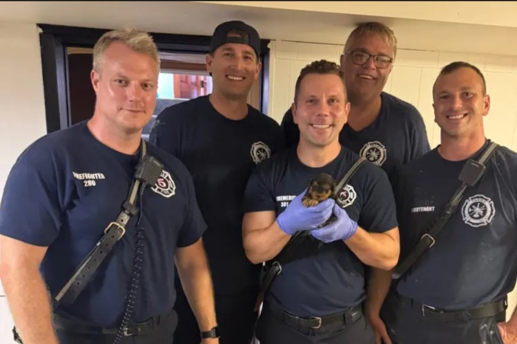 TINY PUP, BIG TROUBLE! See How a 5-Man Squad Pulled Off the Cutest Rescue Ever