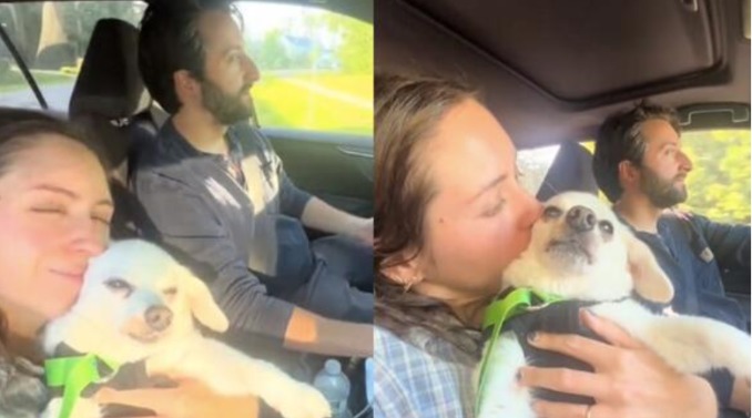 True Love: How One Woman Chose Her Dog’s Life Over Her Dream Wedding