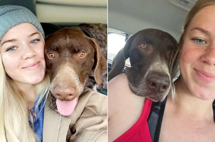 A Sibling Connection: How One Gentle Car Ride Confirmed Home to a New Pup
