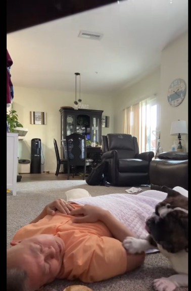 Patient Paw Paw: Bulldog Puppy Gently Nudges Sleeping Dad for a Bagel