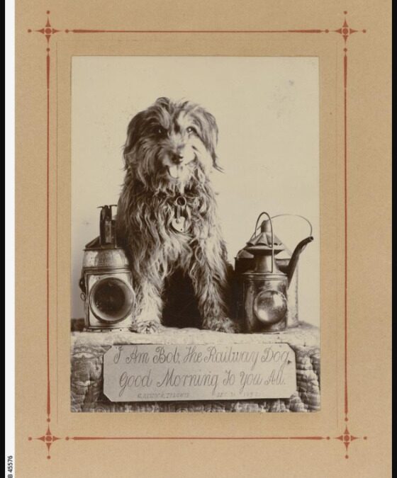 Stop Me Not: The Untamed Journey of Bob, the Railway Dog